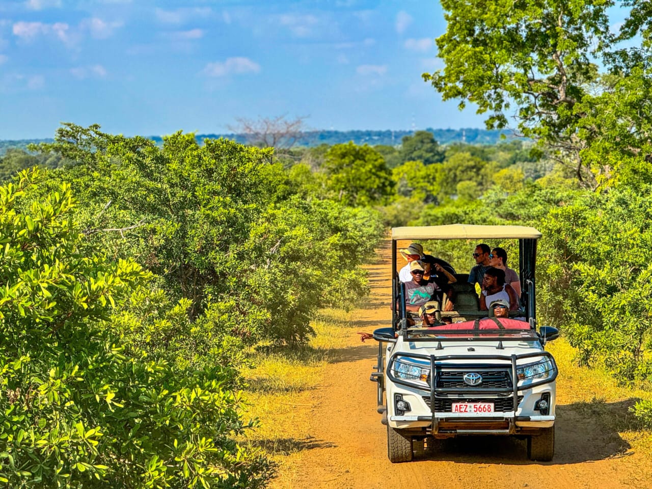 Chobe Day Trip